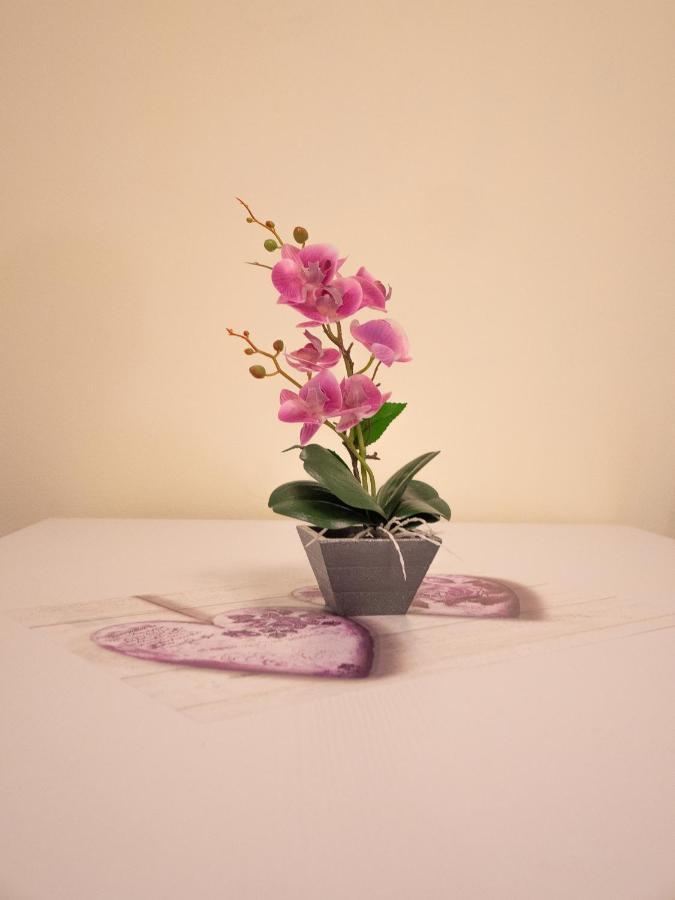 Camelia House Daire Bellano Dış mekan fotoğraf